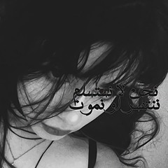 8NLT92G3E6XDXDXD