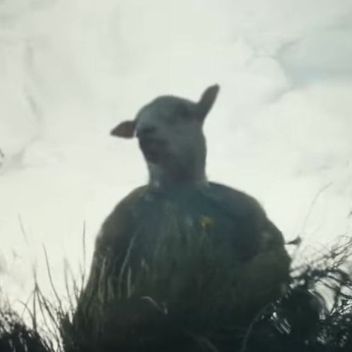 Blind lamb’s avatar