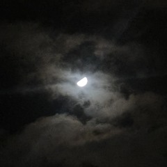 Percatric (@percatric)