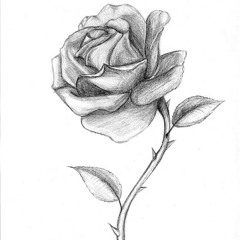 Jmv