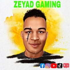 zeyadgaming
