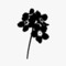 <unknown>