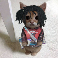 cdizz