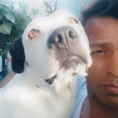 oscar