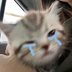 Zzz