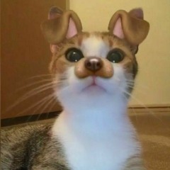 gus