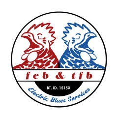 Fried Chicken Boys And The Fryin' Band