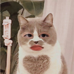 Bánh Mỳ Bơ Tỏi