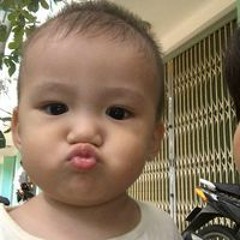 Nhat Quang Dz NGô