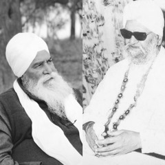 mohan kaur