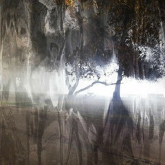 neverlasting