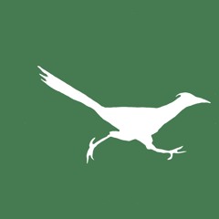 INTERDEPENDENCE CHOIR 11-21-25