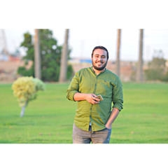 Mahmoud Ahmed Elhasy