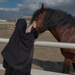 بَسنت إبراهيم