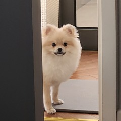 JJun