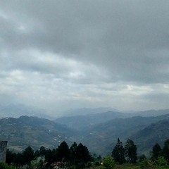 Đéo biết nhạc gì