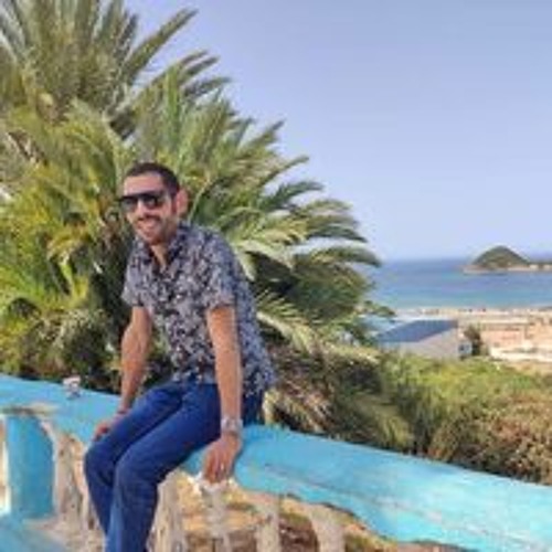 Ramzi Ramzi’s avatar