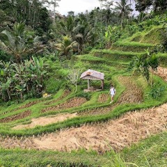 Mitchell Richardson 1