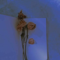 texdd
