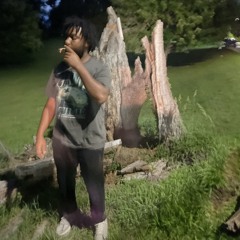 AREDD