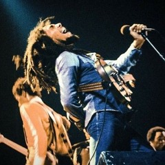 Stevie