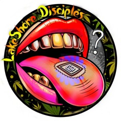 LsD - LakeShore Disciples