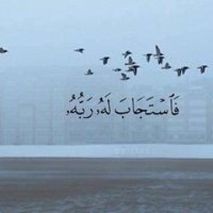 ساره مصطفي