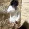 Meek