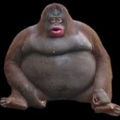 monke