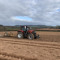 agri_alfie
