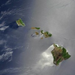 HAWAIIAN96713