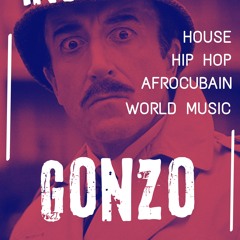 Inspecteur Gonzo