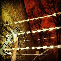||IIIIllIlll|III