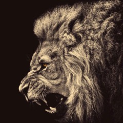 🩵- leoclass_$$ -🩵
