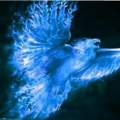 blue phoenix