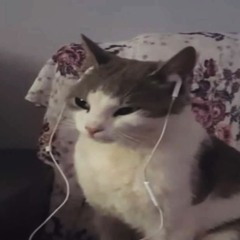earsdeaf