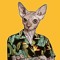 hoodcat788