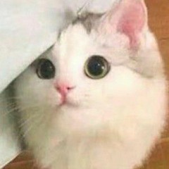 Nyanyo