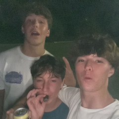 C roach