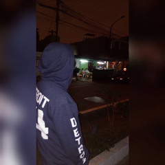 Myga