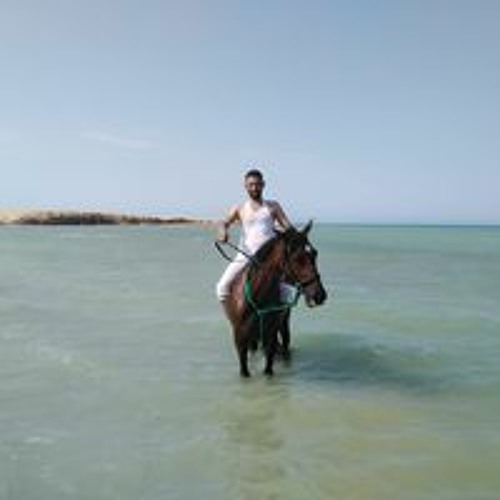 احمد الحفنى’s avatar