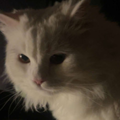 Jejemeowvirgo👍🏻