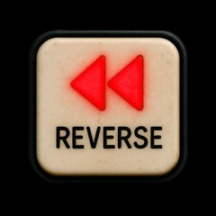 PL4Y REVERSE