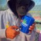 lil-queef-alot👁️⃤