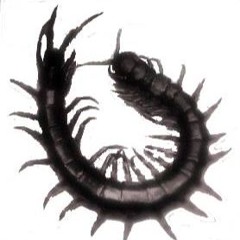Centipedesss