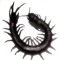 Centipedesss