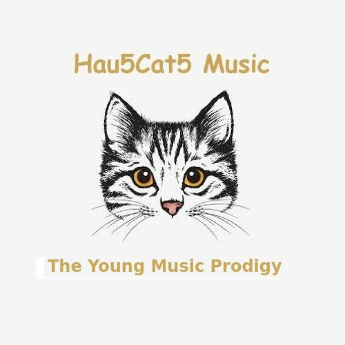 Hau5Cat5 Music’s avatar