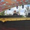 DJ sc.REBEL!?