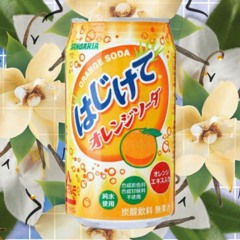 OrangeSoda x VanillaBean