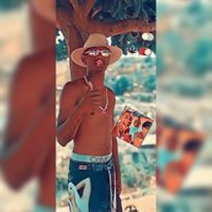 Luiz Felipe FP Gomes